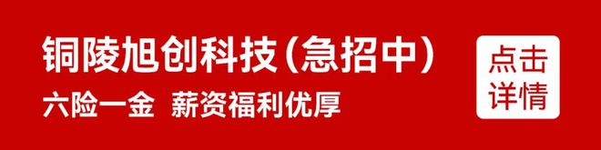 入！枞阳公安破获一起涉毒、赌、诈等多罪名多环节案件！【铜陵头条0415】省政府通告！铜陵这里控制人口迁(图11)