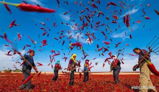 直就是世界上最恐怖的国家!在西方媒体的宣传下中国简(图7) 直就是世界上最恐怖的国家!在西方媒体的宣传下中国简(图7)